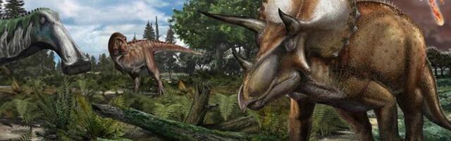 Dinosaurs Weren’t Fading Before the Asteroid—We Just Suck at Finding Their Fossils
