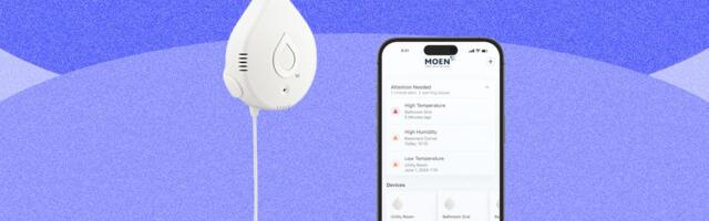 Best Water Leak Detectors (2026): Moen, Phyn, TP-Link