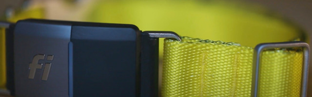 Connected pet collar company Fi raises a $30M Series B