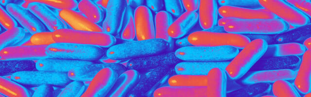 3D-printed personalized meds are almost here, thanks to this Finnish startup