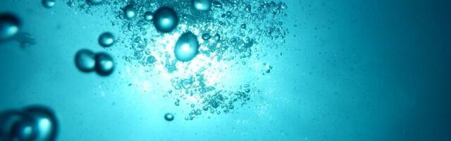 AI: What Do Intelligence and Sentience Share?