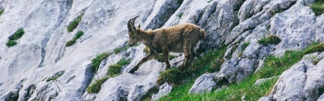 The science of leap day – how it works and why we do it