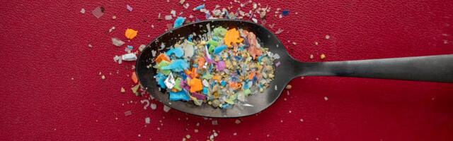 Ready to Stop Eating Plastic? Ditch These 7 Items Full of Microplastics