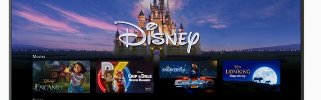 Disney+ Lost 700,000 Subscribers to Close Out 2024