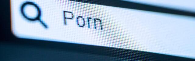 U.S. Government Websites Are Hosting PDFs Promoting Porn and Scams
