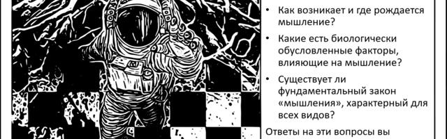 Что такое мышление? И как оно зарождается?