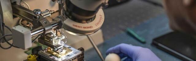 Photonic claims “world-first” quantum teleportation across Telus fibre network