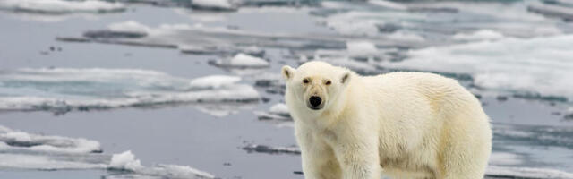 Climate tech leaders struggled with funding in 2022