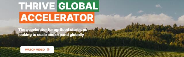 African agri-food startups invited to apply for THRIVE Global Accelerator