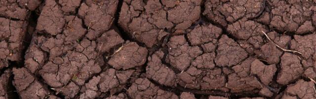 The Sahel is home to roughly 300 million people on the Sahara’s southern edge — a strip of thin soil and scarce rain where a single failed harvest becomes a crisis with no safety net