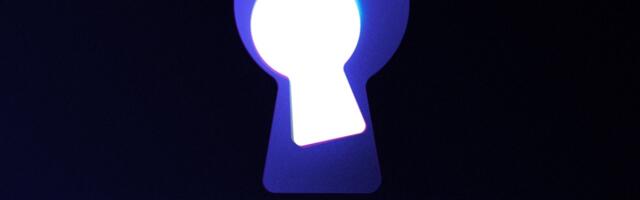 Midnight plans to aggregate games inside Web3 Evergreen MMORPG