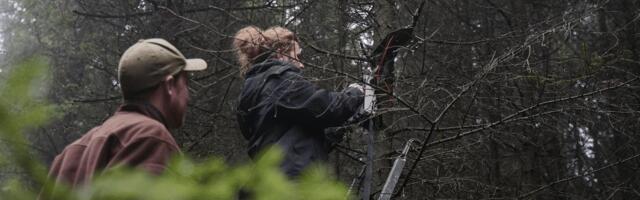 Munich-based Hula Earth raises €1.6 million aiming to scale biodiversity monitoring for global industries