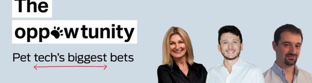 An app that can read your cats emotions and a virtual assistant for vets: How AI is shaking up pet care