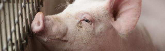 The one drug RFK Jr. should actually ban