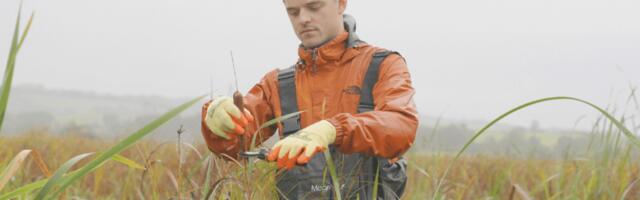 From wetlands to wardrobes – British FashionTech startup Ponda raises over €2 million for sustainable fashion innovation