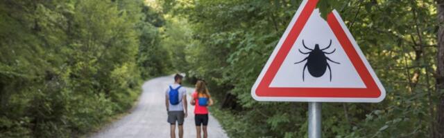 New York’s Latest Tourist? A Rare, Potentially More Severe Form of Lyme Disease