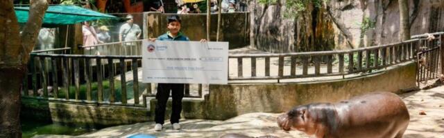 SUI meme $HIPPO enters into charity partnership with Moo Deng’s zoo