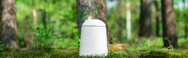 Mushroom coffins, dog wakes and digital smells: the weirdest VC deals of the year