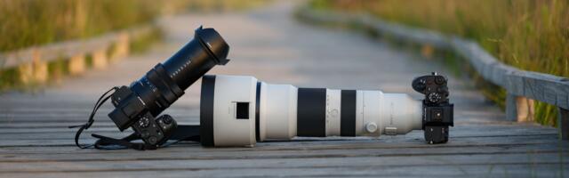 I took the new Sony RX10 V superzoom and a pro Sony mirrorless camera with 400-800mm lens on a bird photography trip — here’s how the two systems compared
