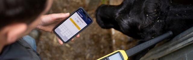 ‘Data at the heart of farming’: livestock platform Breedr raises £12m
