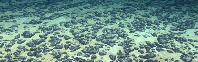 The Electric: The U.S. Races China and Russia to Mine the Ocean for Battery Metals