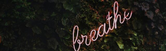 Examples of Authentic Leadership: Becoming a Great Leader