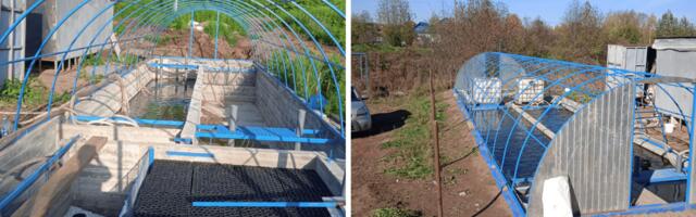 Я кидаю корм в воду и зарабатываю миллион