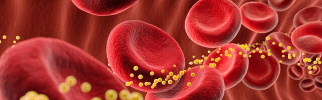 Bad cholesterol slashed 62% by single dose of gene-editing drug in small trial