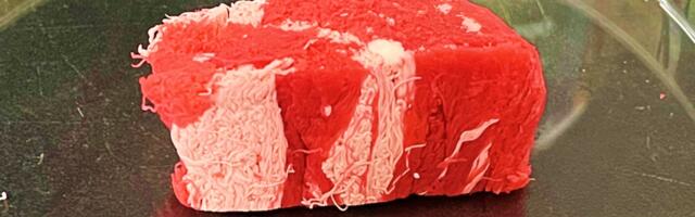Korean food tech TissenBioFarm raises $1.6 million to bring culture meat with real texture & marbling