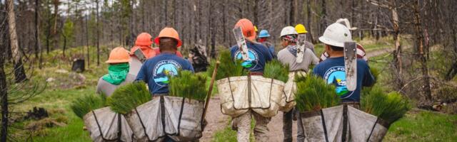 Leaked recordings detail a major environmental agency quietly gutting its workforce