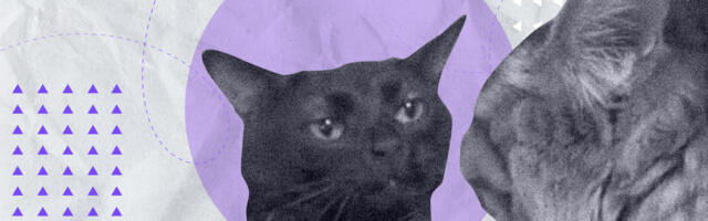 Как спасти проект, если заказчик не доволен РП