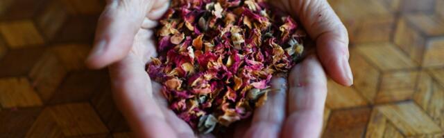 Stop and smell the roses — and dozens of other aromas — at the Aftel Archive of Curious Scents in Berkeley
