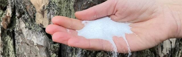 Why sodium-ion batteries offer hope in replacing lithium and cobalt