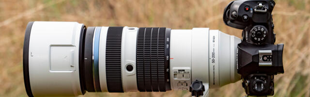 Forget full-frame – OM System's latest telephoto zoom proves that Micro Four Thirds is a top choice for macro and wildlife photography