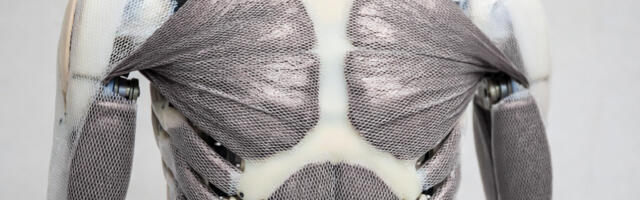 Искусственные мышцы или Робототехника 2.0