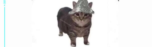 Про душные истории о «Зумерах» и о претензиях к ним