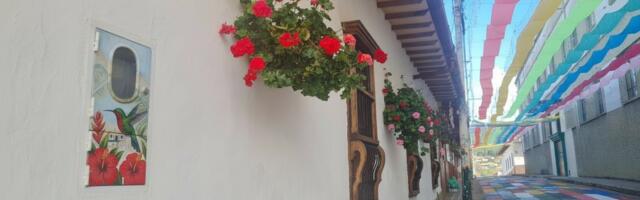 «Киловатты красоты: Как в Колумбии электроучет подружили с искусством»