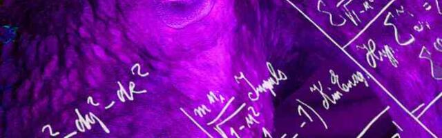 Науки Зюки. Сказка