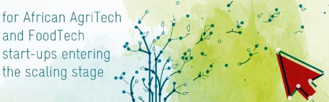 Apply now: GIZ-SAIS Investment Readiness Programme 2022