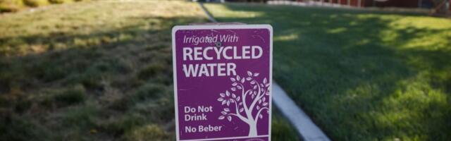 California considers permanent ban on watering grass at businesses, even in non-drought years