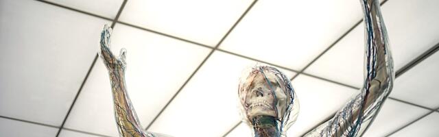 Не будите хотя бы в выходные! Связь сна и продуктивности — исследования