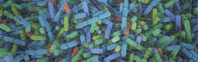 Meet the Sexome: The Bacteria in Our Junk That We Swap During Sex