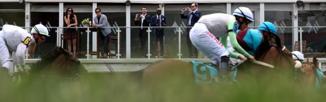 5 Best Preakness Stakes Betting Sites In North Carolina