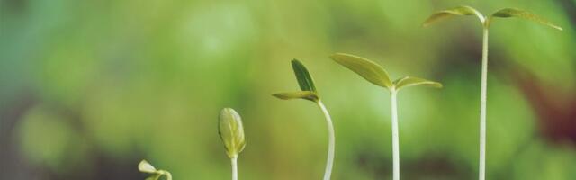 Scottish Enterprise invests £3m in agtech facility