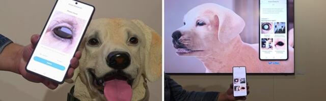 Samsung’s pet tech only needs a picture to detect health issues hurting your furry friends