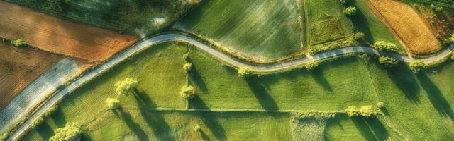Lithuania’s PVcase secures $100 million, aims to cut solar project design process from weeks to roughly 20 minutes