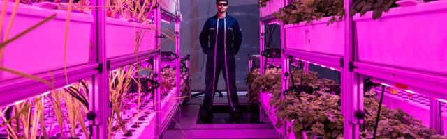 Interstellar Lab joins L’Oréal Green Sciences Incubator for biofarming innovations