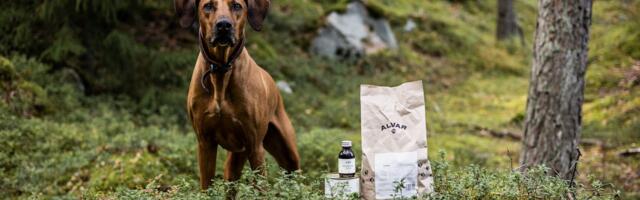 Alvar Pet acquires Verkkokauppa Kivuton to form pet health superstore