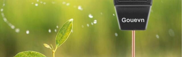 Amazon Spring Sale deals on Verge staff home favorites