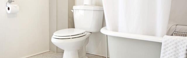 This Former Custodian Thinks Your Bathroom Could Be Cleaner. Here's How to Do It